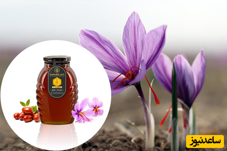 خرید عسل عناب زعفران و عسل زرشک