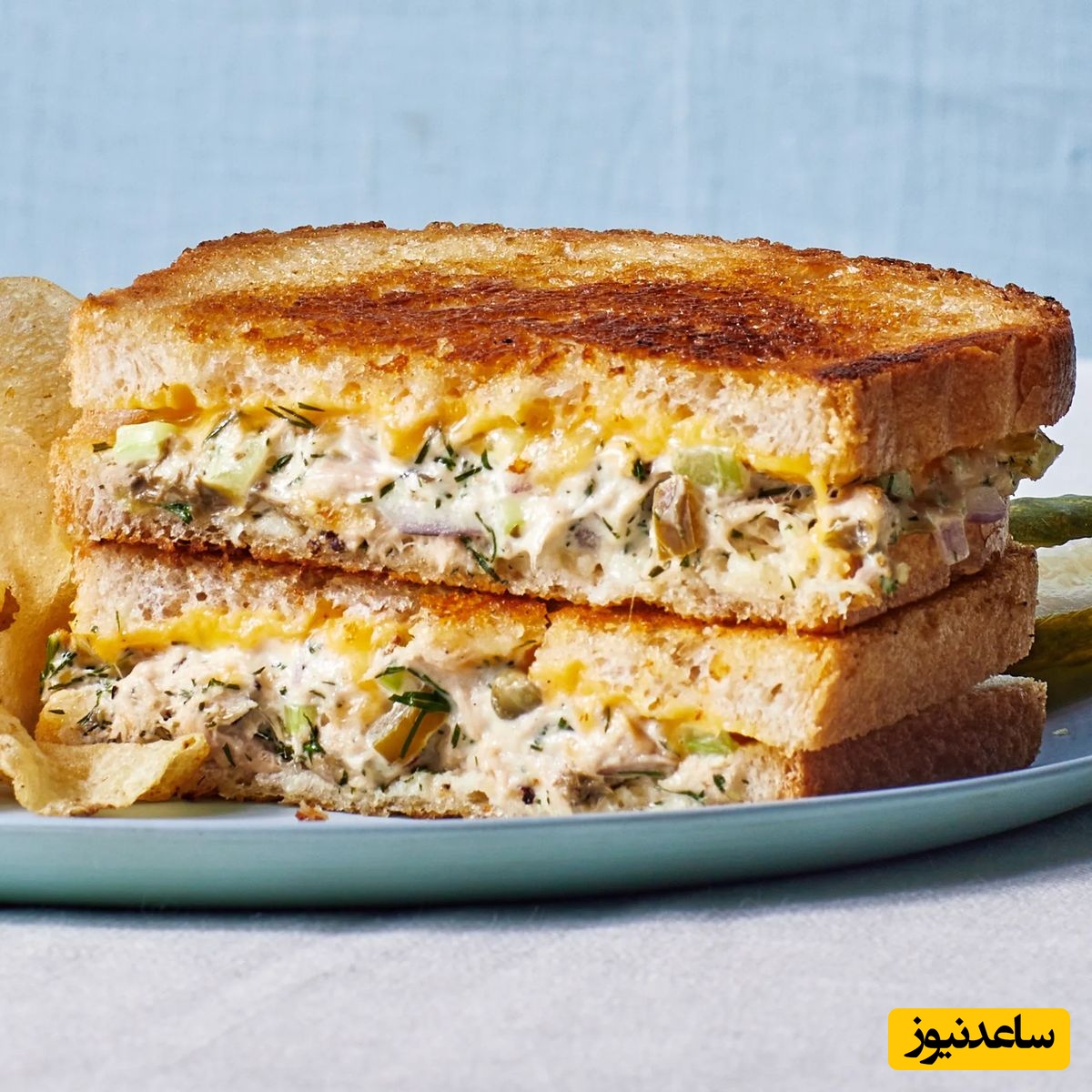 طرز تهیه ساندویچ مرغ چرخ کرده رستورانی؛ راز یک ساندویچ آبدار و خوشمزه