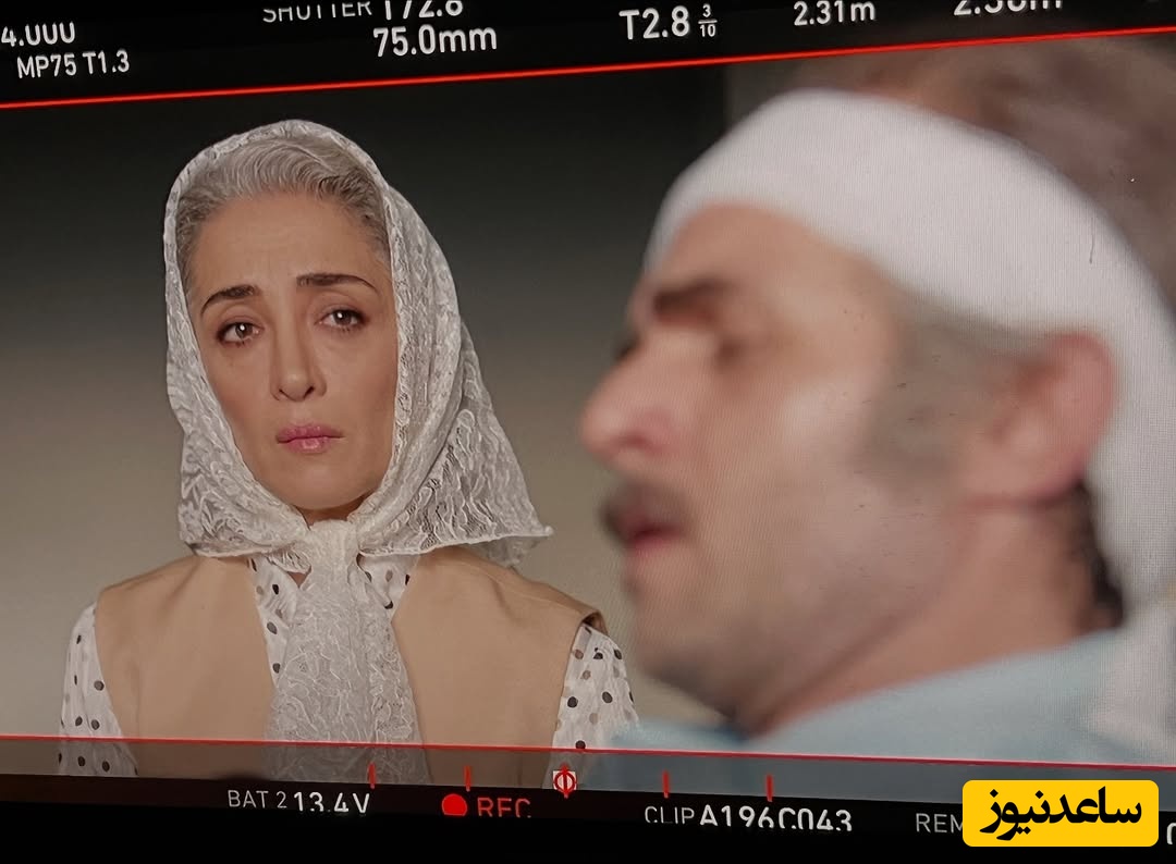 پانته آ پناهی ها و بابک حمیدیان