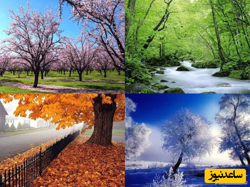 با نام فصل‌ها و ماه‌های سال به زبان آلمانی آشنا شوید + تلفظ و مثال