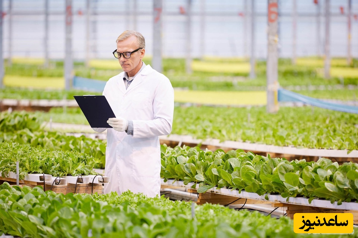 آموزش نوشتن رزومه حرفه‌ای مهندس کشاورزی