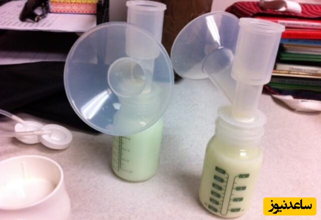 برندگان «نوبل مضحک» 2025 اعلام شدند