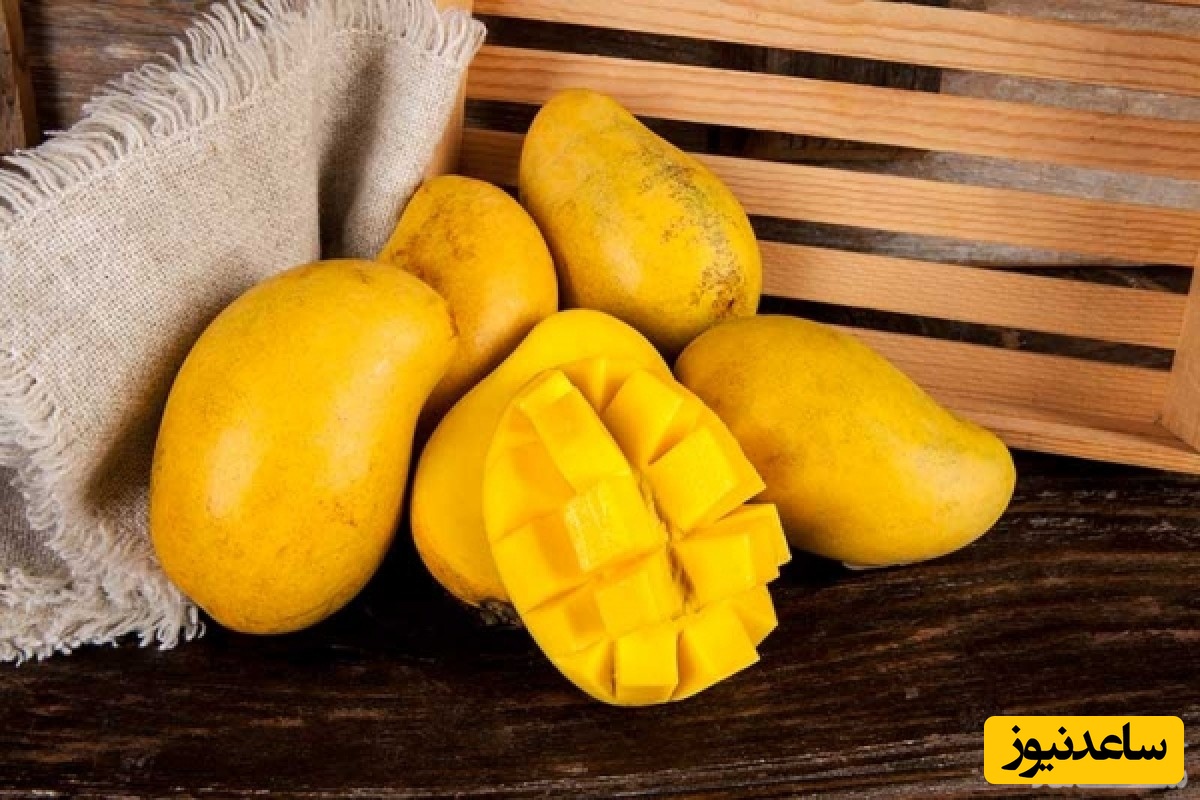 دیدن انبه در خواب چه تعبیری دارد؟ /  تعبیر خواب انبه