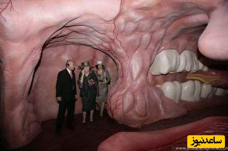 ساختمان با الهام از بدن انسان