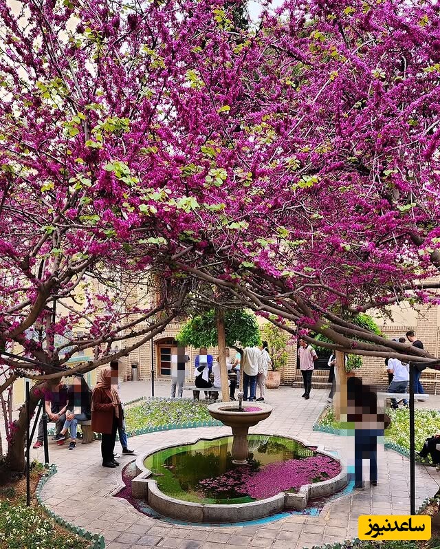  خانه موزه مقدم