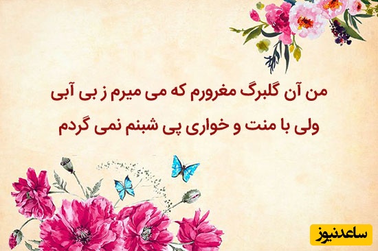 هر روز چند بیت شعر زیبا مهمان ما باشید/ من آن گلبرگ مغرورم که می‌میرم ز بی آبی ولی با ذلت و خواری پی شبنم نمی گردم