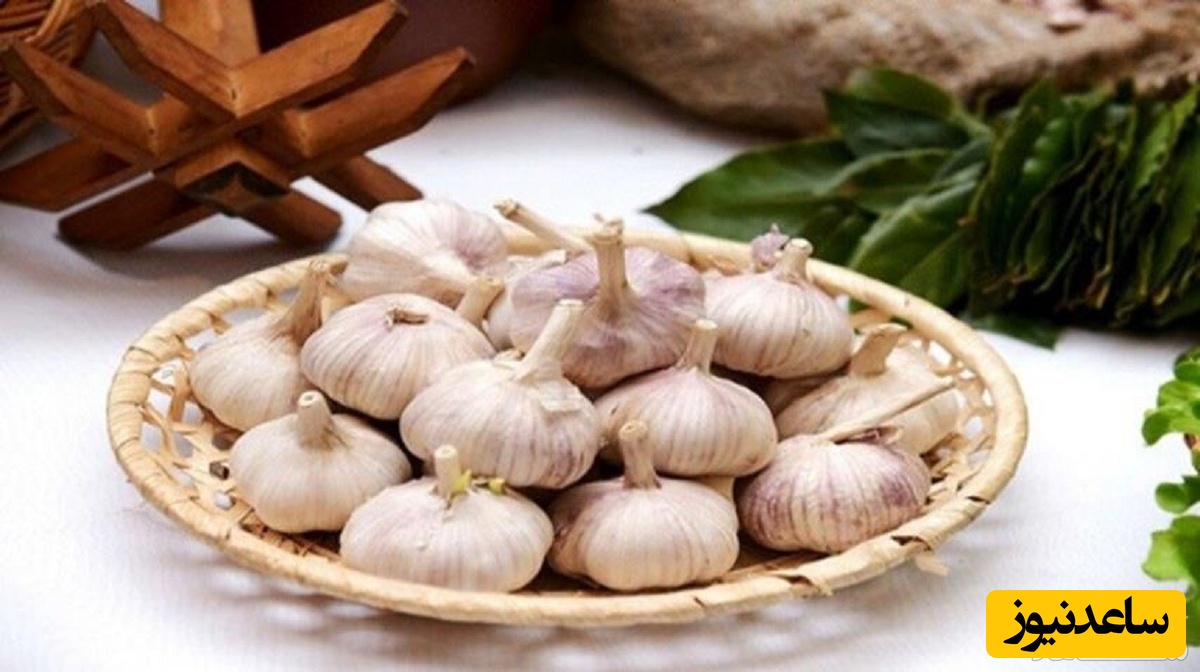 دیدن سیر در خواب چه تعبیری دارد؟ / تعبیر خواب سیر