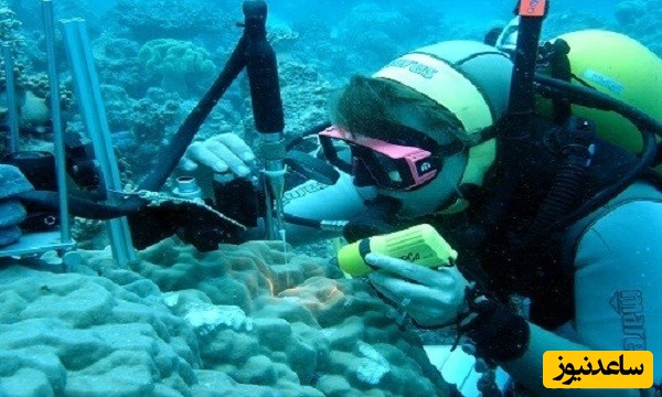 منابع و دروس رشته زیست شناسی دریا و ضرایب آن در مقطع کارشناسی ارشد