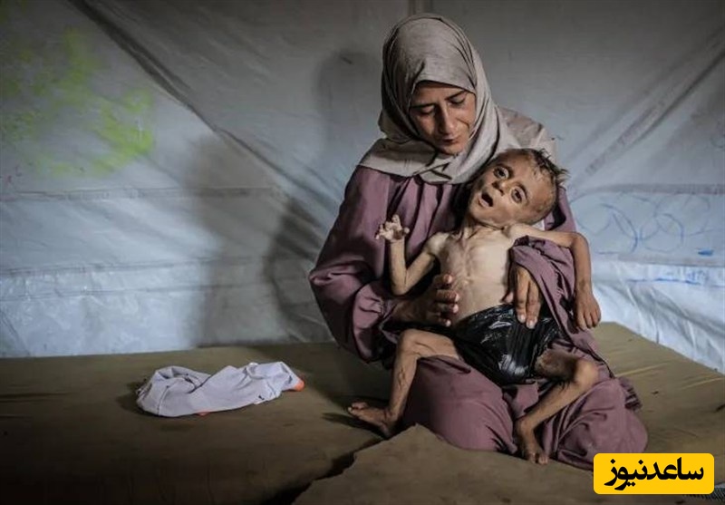 وقتی اروپا و آمریکا خفه خون گرفتند، مصری‌ها اینطوری سعی کردند به مردم غزه غذا برسانند / مرگ تدریجی انسانیت در دنیا...