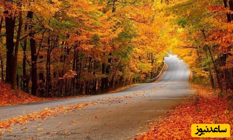 پارک جنگلی النگدره گرگان؛ بهشت سبز شمال ایران با جاده‌های رؤیایی، جنگل‌های هیرکانی و طبیعتی که نفس را تازه می‌کند