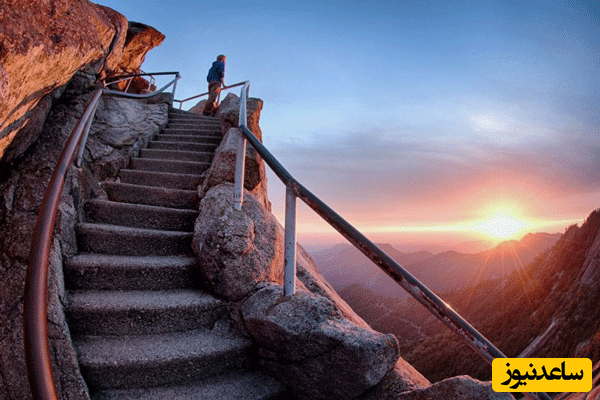 قانون تکامل و قانون جذب - قوانین کائنات چگونه کار می کنند؟