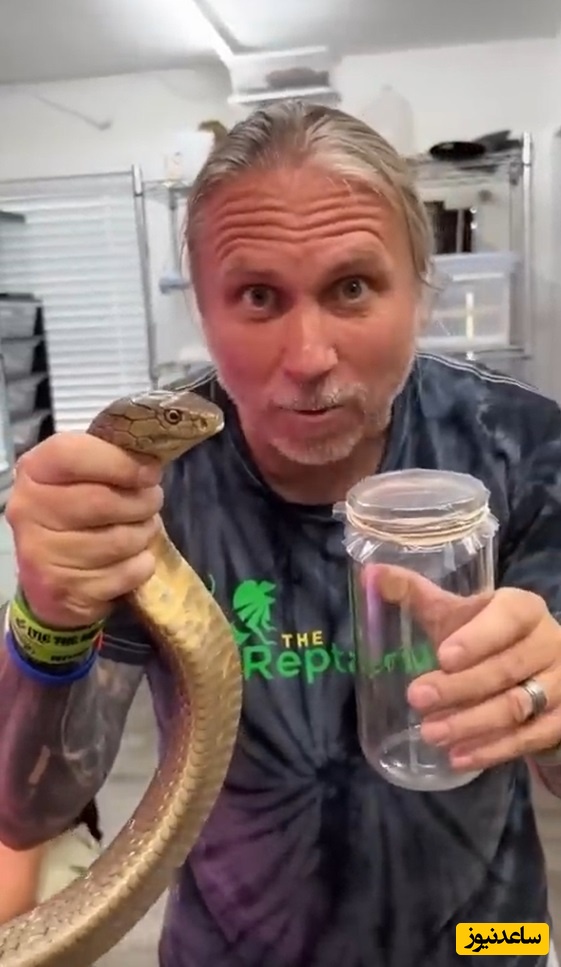 فیلم/استخراج زهر مار: نگاهی نزدیک و هیجان انگیز به یکی از حیاتی‌ترین فرایندهای پزشکی جهان