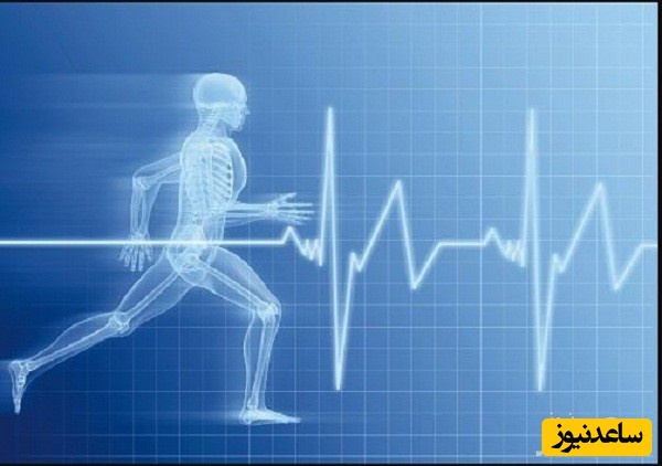 منابع دروس آزمون رشته تربیت بدنی - فیزیولوژی ورزشی و ضرایب آن در مقطع دکتری