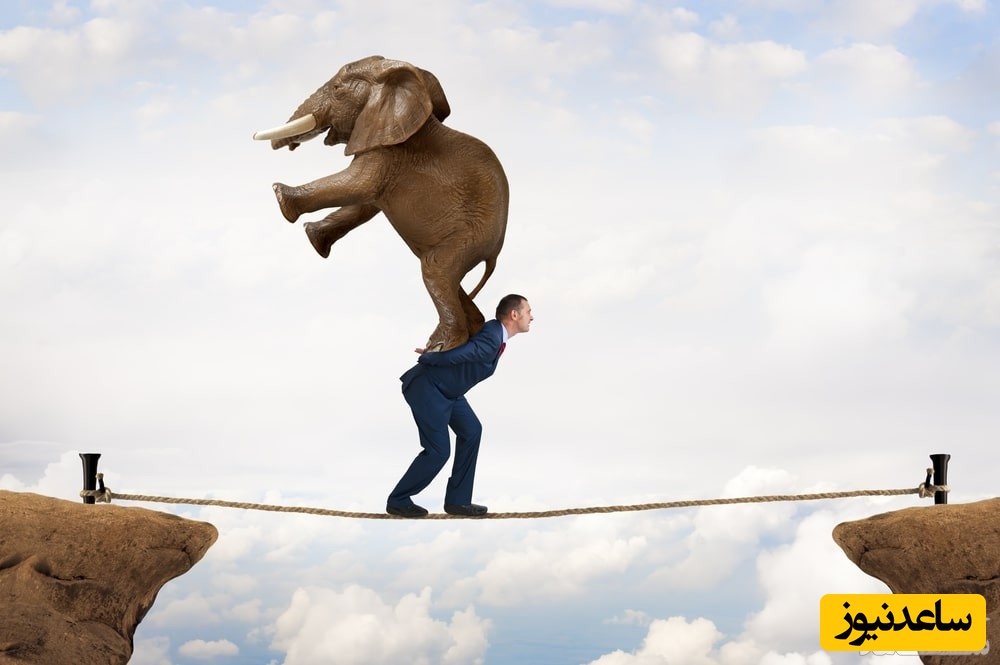 مهارت تاب آوری چیست و چگونه میتوان آن را تقویت کرد؟