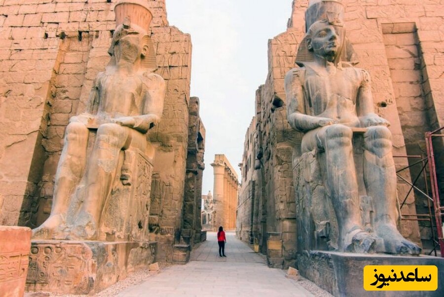 کشف مومیایی 300 تمساح در معبد مصری ها+عکس