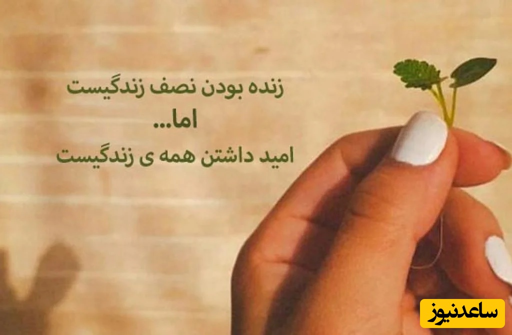 پیام امروز کائنات برای تو؛ روزهایی خواهد آمد که دلت آرام‌تر می‌شود. شاید نه به این زودی، اما آرامش راهش را به دل تو پیدا خواهد کرد.../ پیام انگیزشی امروز دوشنبه 24 فروردین ماه 1405+ ویدیو