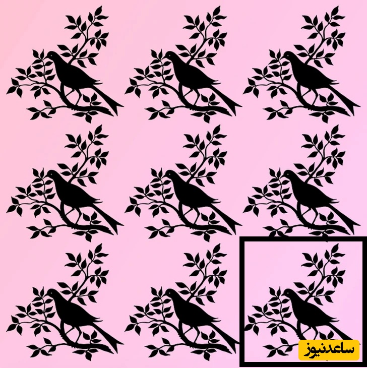 پاسخ تست هوش