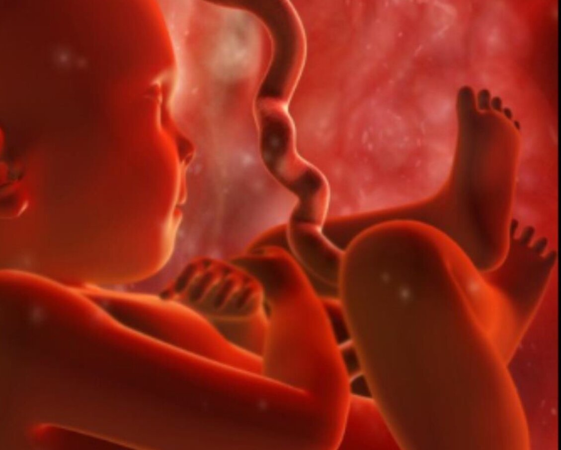 منظور از ناسازگاری خون مادر و جنین چیست؟