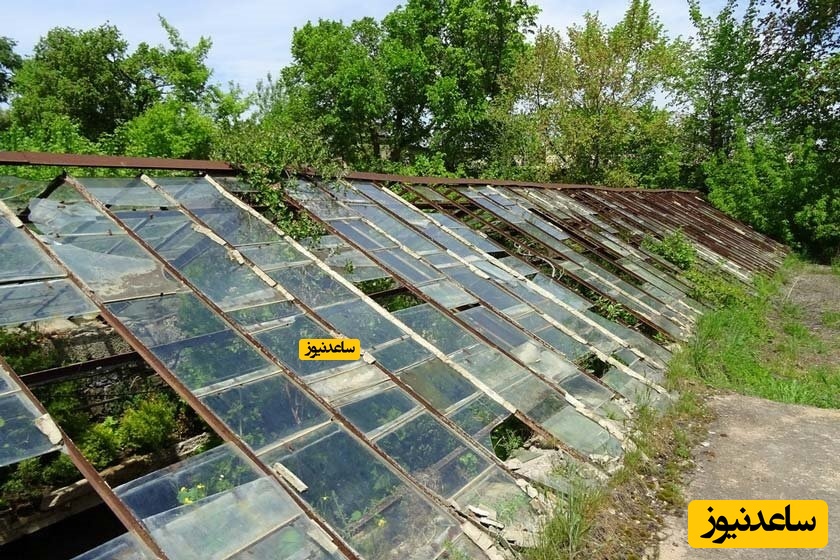 باغ گیاه شناسی ایروان