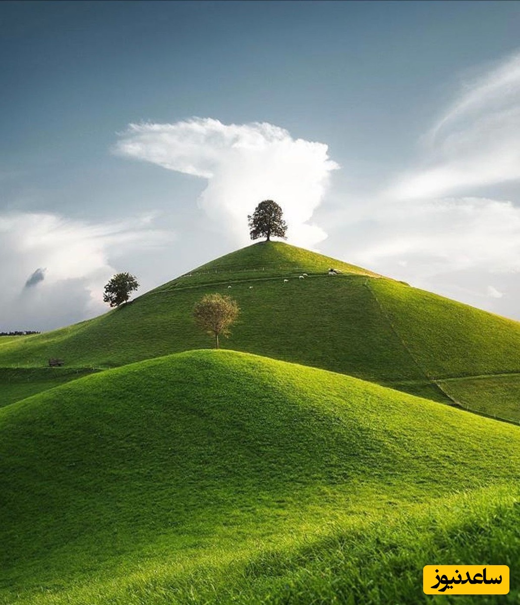 دیدن تپه در خواب چه تعبیری دارد؟ / تعبیر خواب تپه