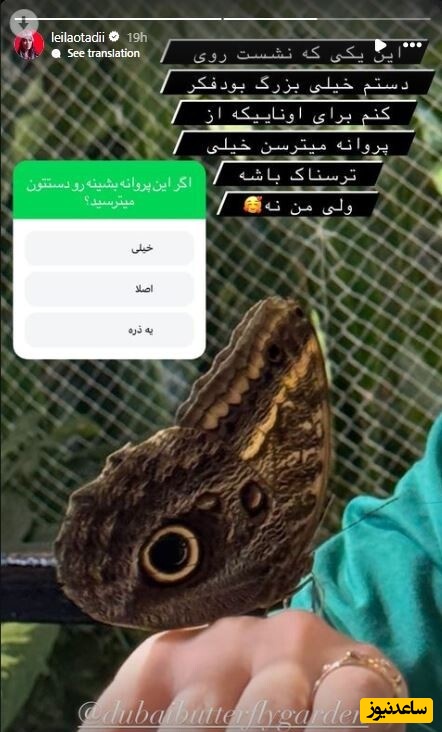 اوتادی