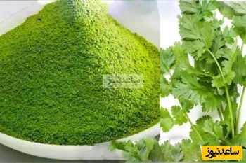 نحوه صحیح شستن و خشک کردن سبزی بدون آفتاب، سبز سبز👌با کلی نکته خشک کردن سبزی معطر و خوش رنگ