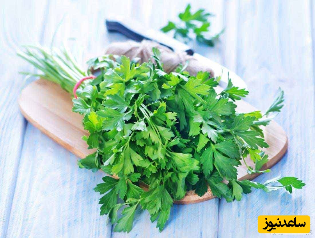 دیدن جعفری در خواب چه تعبیری دارد؟ /  تعبیر خواب جعفری