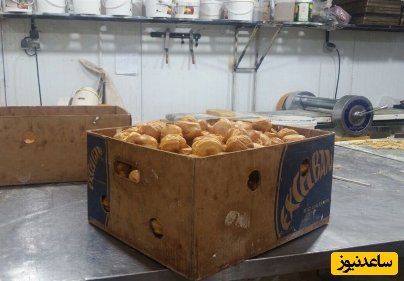 تولید شیرینی و بیسکوئیت با طعم مگس و سوسک در کارگاهی زیرزمینی در شیراز!+ویدیو