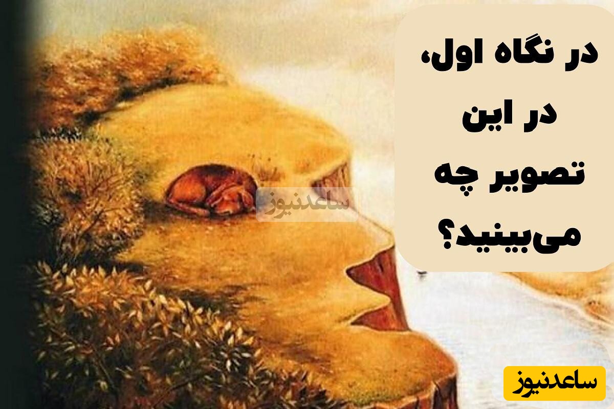 چالش شخصیت شناسی/ اولین چیزی که در تصویر ببینید نشان‌دهنده‌ی روحیه و شخصیت شما را در زندگی‌ست