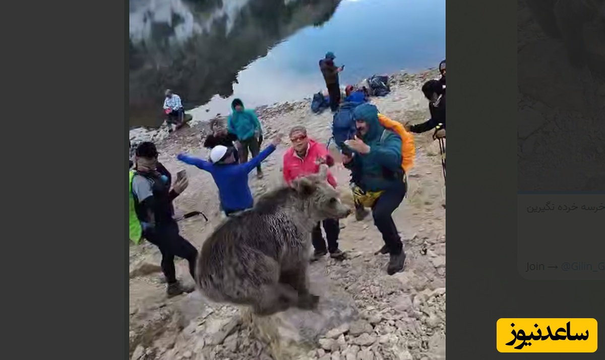هم‌نشینی با خطر؛ کوهنورد تبریزی در فاصله‌ای نفس‌گیر با خرس سبلان