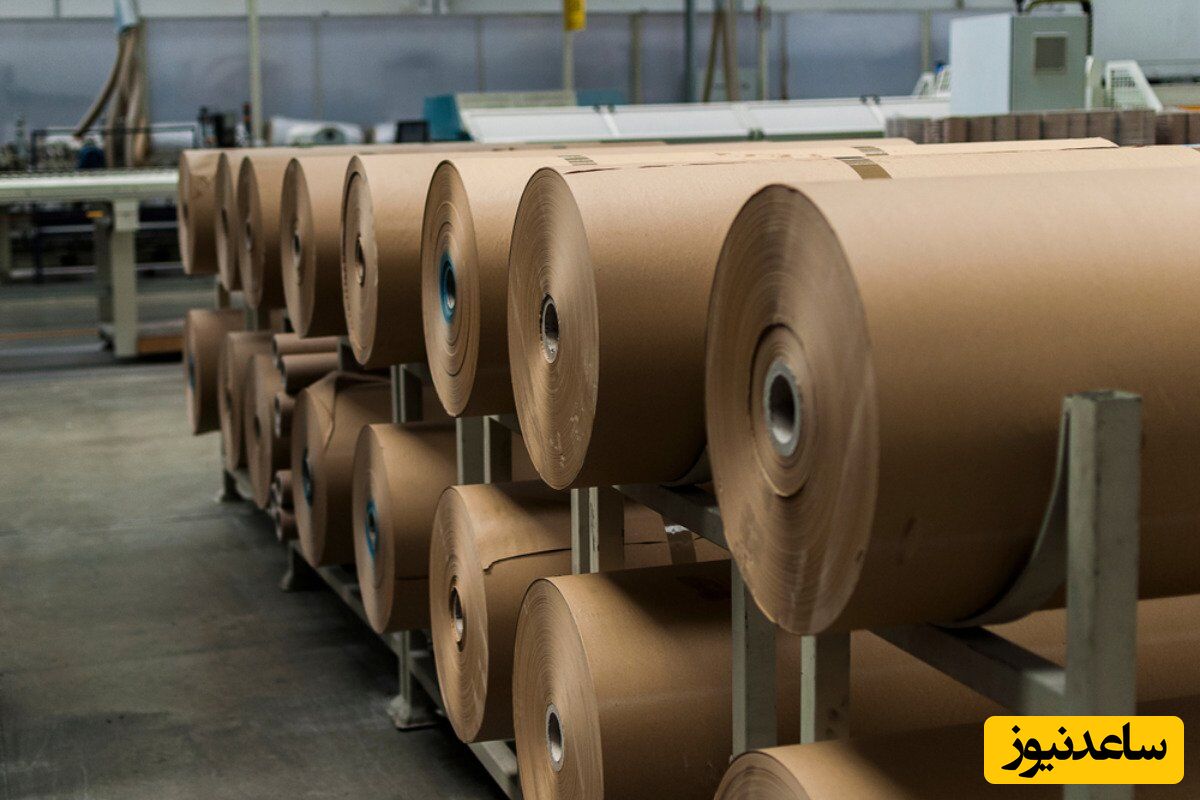 معرفی بزرگترین تولیدکننده کاغذ بسته بندی از مواد بازیافتی در ایران