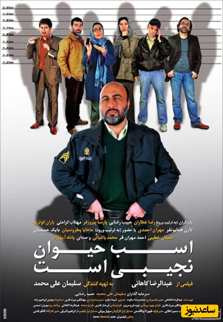 معرفی فیلم اسب حیوان نجیبی است