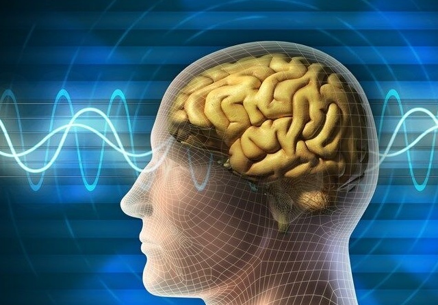 هشدار پزشکان برای زالو درمانی/ وقتی یک باور غلط می‌تواند فاجعه‌بار باشد!