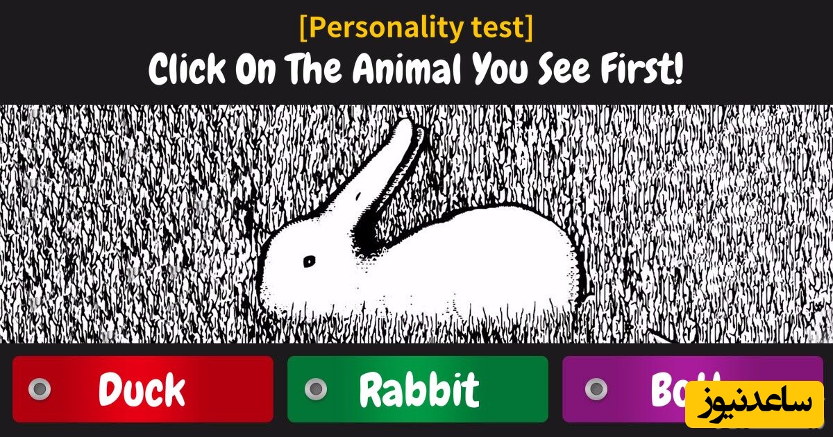 تست شخصیت شناسی