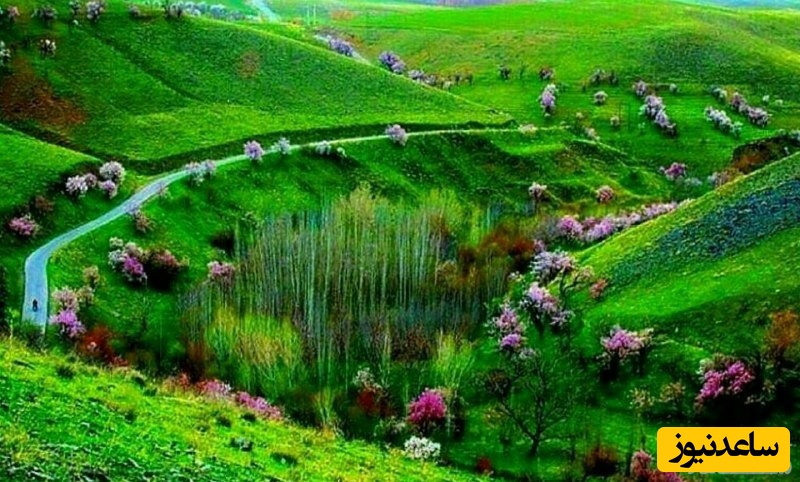 لرستان، سرزمین آبشارها و کوه‌ها؛ سفری به دل جاذبه‌های گردشگری و مکان‌های دیدنی بی‌نظیر