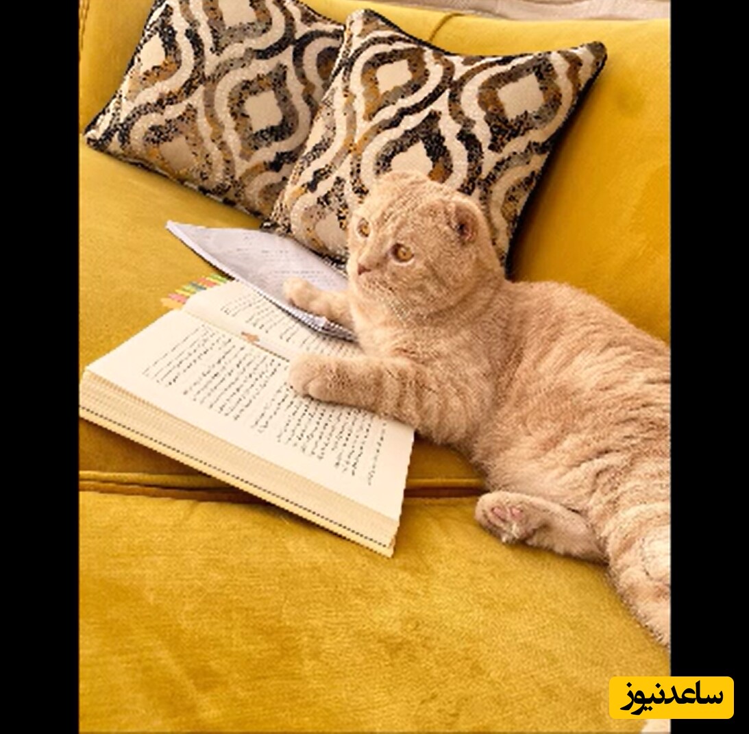 خانه بهنوش طباطبایی
