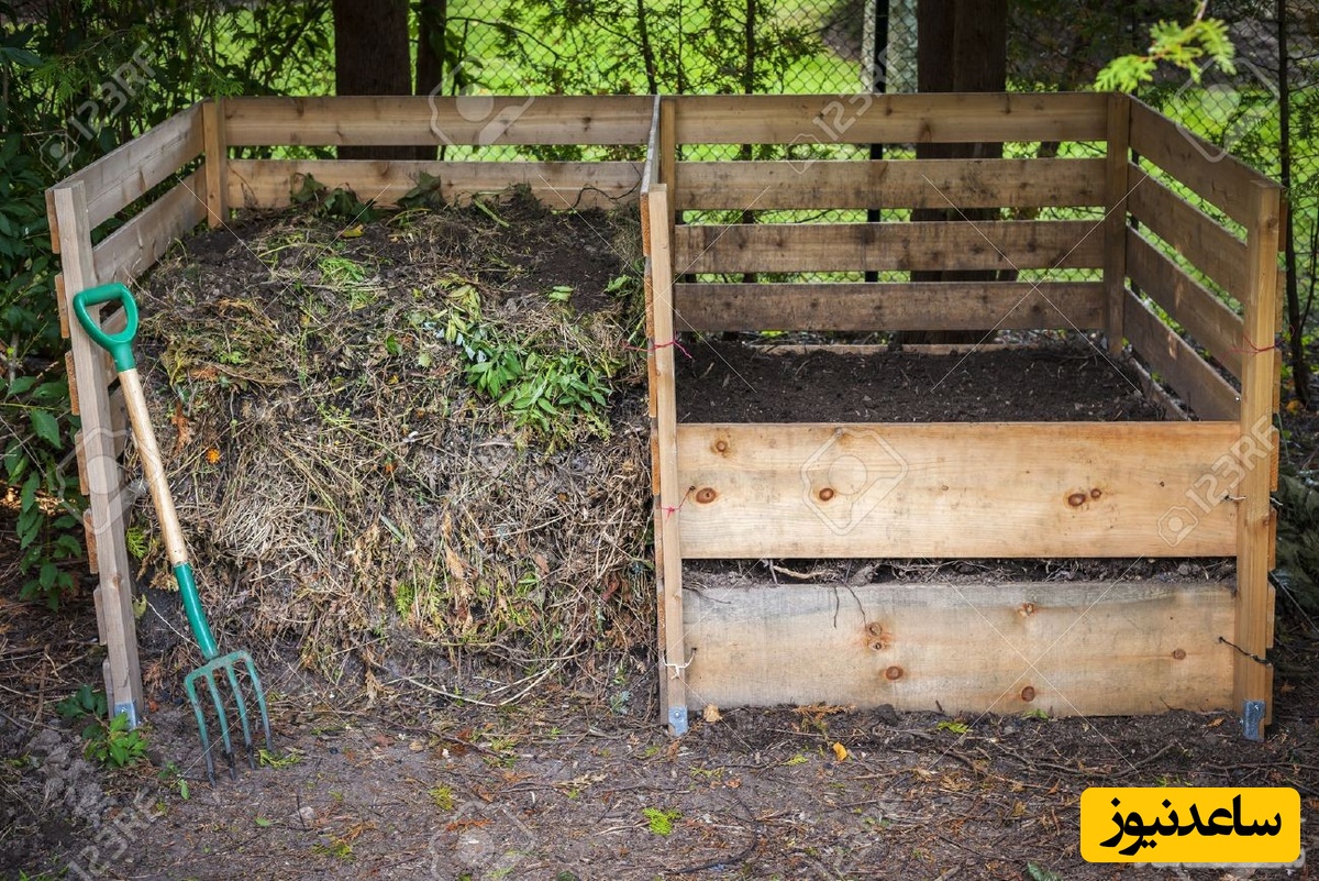 دیدن چنگک در خواب چه تعبیری دارد؟ / تعبیر خواب چنگک