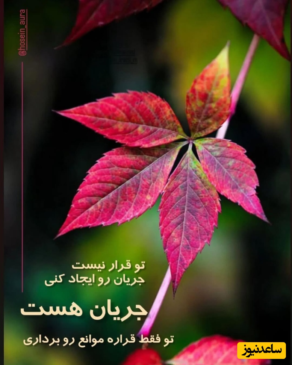 کائنات پیام ویژه ای برات داره؛ وقتی دلت خاموش می‌شود و هیچ‌کس سکوتت را نمی‌فهمد، یادت باشد خدایی هست که حتی بی‌صداترین دردهایت را می‌شنود.../ پیام انگیزشی امروز 31 فروردین 1405+ ویدئو