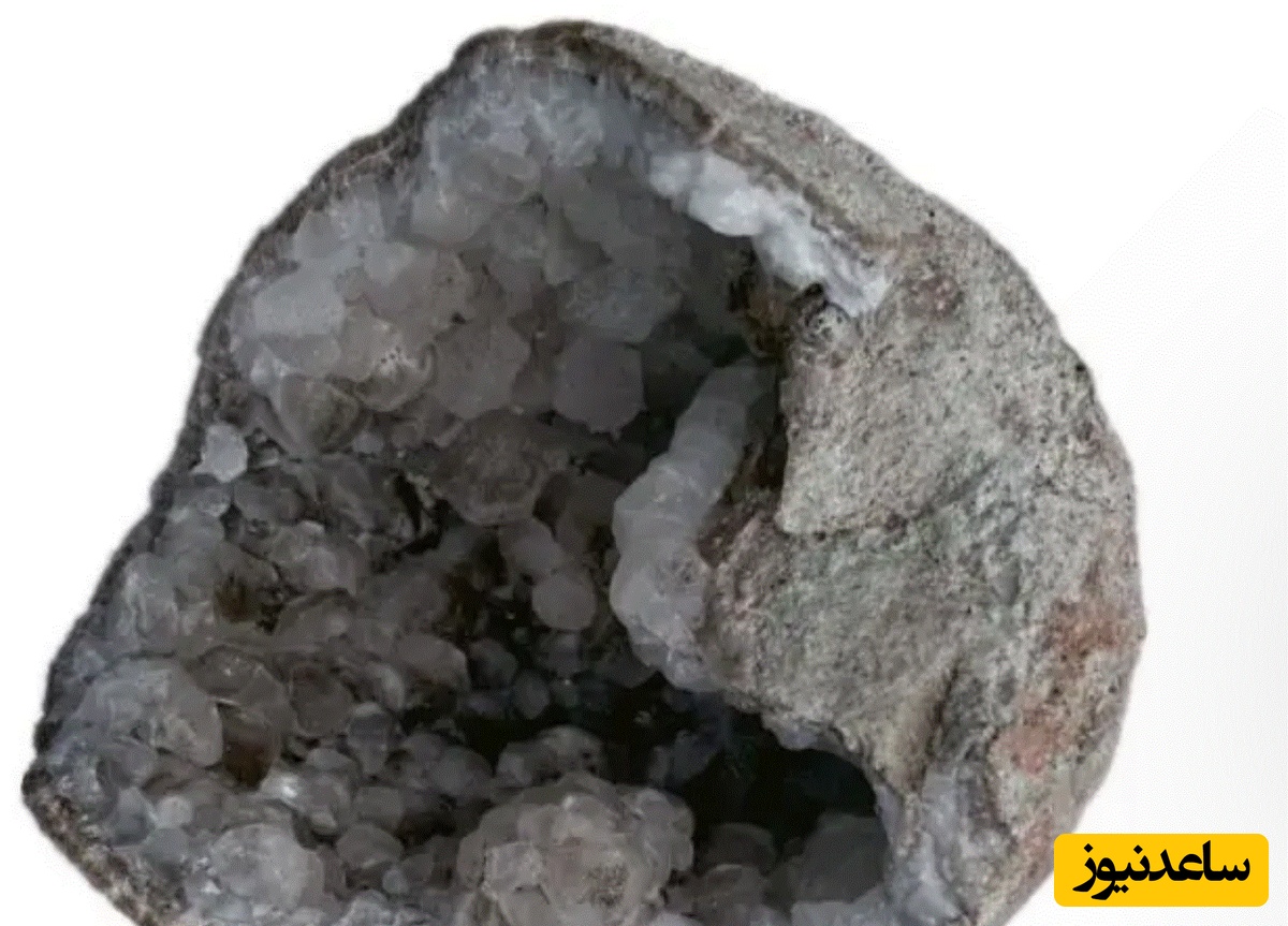 تخم دایناسوز