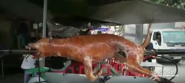 (فیلم) کباب و سیرابی سگ! حماسه ای دیگر از چینی ها!