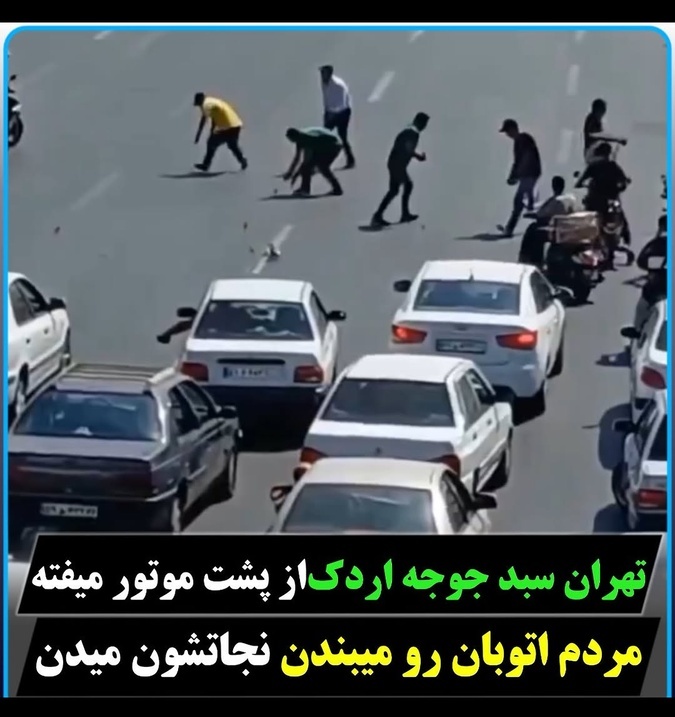 عجیب‌ترین اتفاق در خیابان های تهران  برای کمک به موتورسوار حامل جوجه اردک / زیباترین صحنه از ترافیک که خسته نمیشی؛ با دیدنش اشک به چشماتون میاد