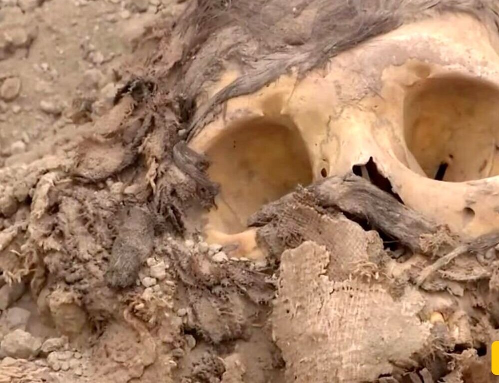 کشف مومیایی 3000 ساله زیر 7 تن زباله در پرو!+تصاویر