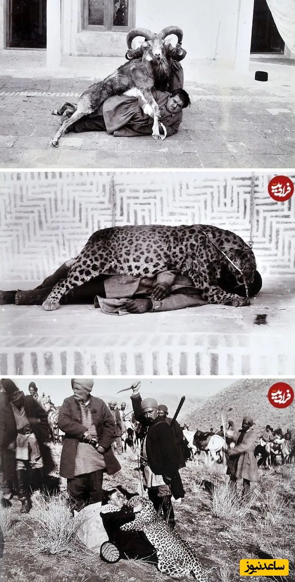 «شکارهای مظفری» و «خواجه‌های یوزپلنگ‌نگه‌دار»