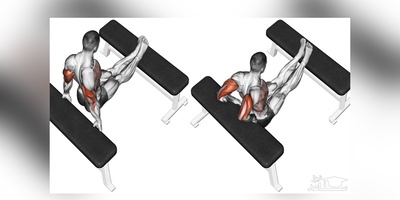 از صفر تا بدن ایده‌آل: چطور فقط با نیمکت، تمرین فول‌بادی در خانه داشته باشیم؟