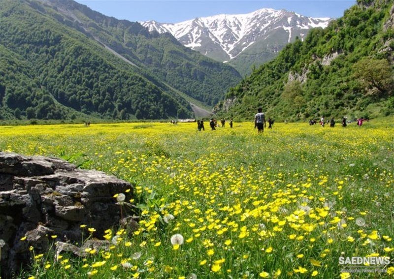 Darya Sar Plain of Mazandaran