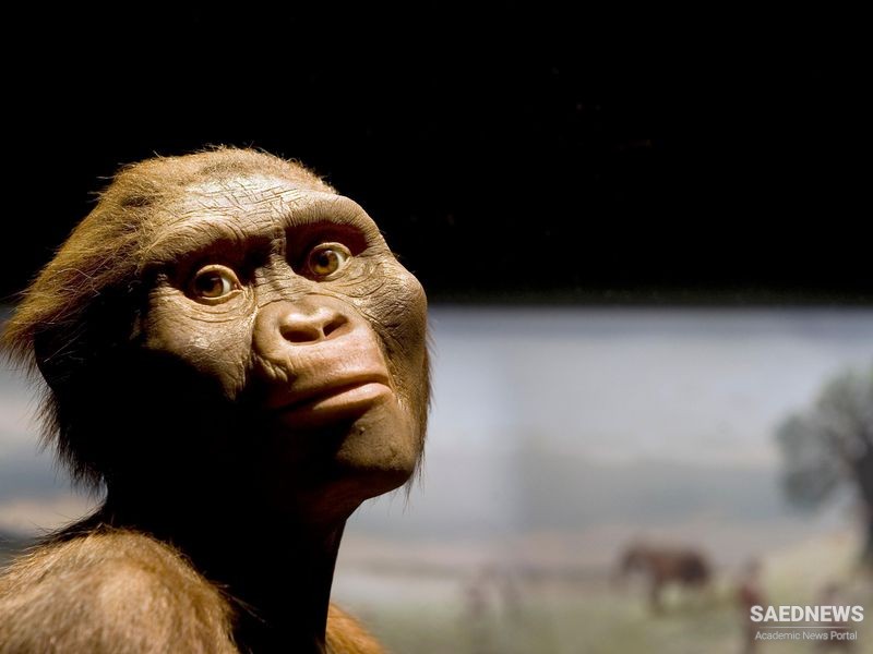 From Pithecus to Anthropos: Evolution of Homo Sapiens