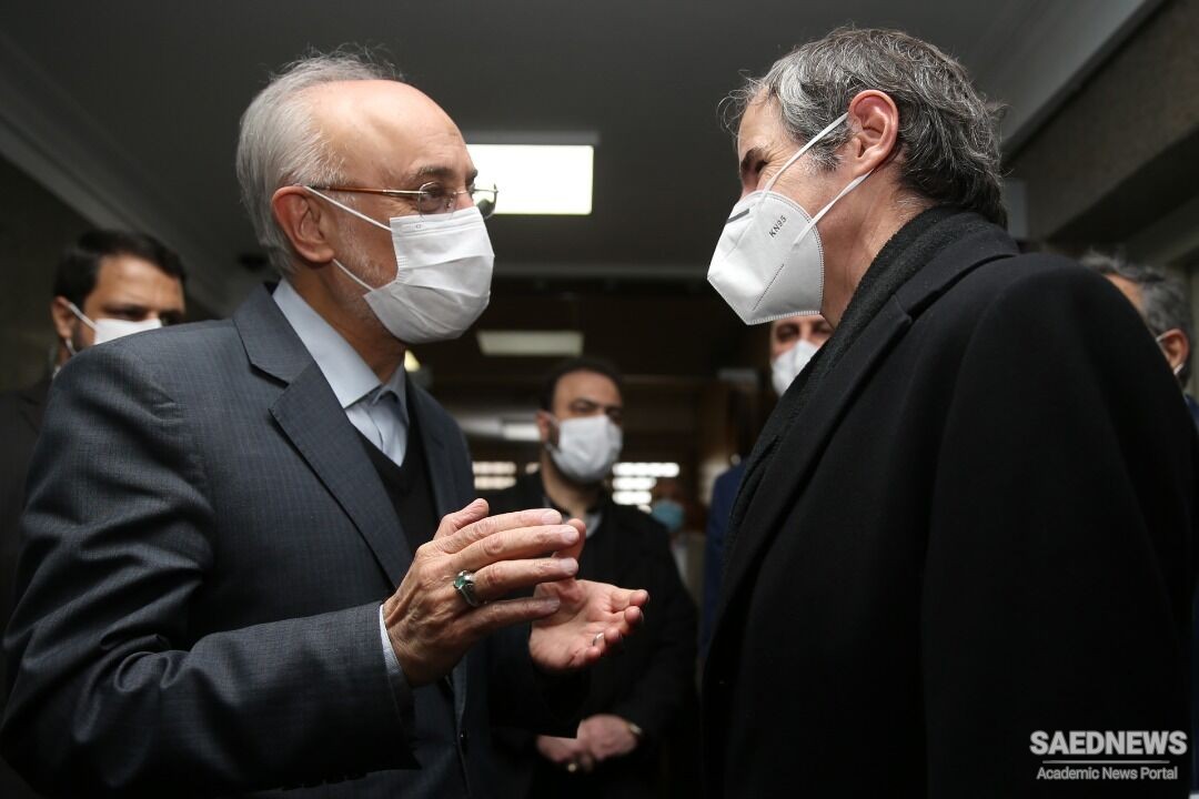 IAEA Director-General Grossi Meets Ali-Akbar Salehi Head of AEOI
