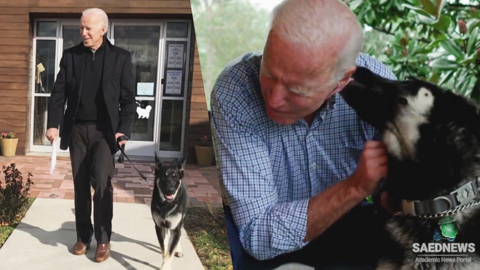 President Elect Biden Got His Ankle Twisted with Hairline Fractures Playing His Dog Major
