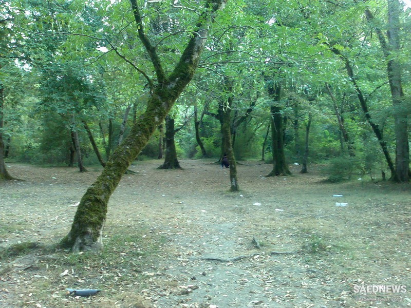 Si Sangan Wildlife Park in Mazandaran