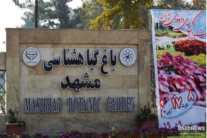 Botanical Garden of Mashhad